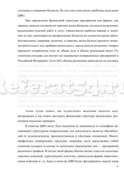 Курсовая работа: Центры финансовой ответственности в компании