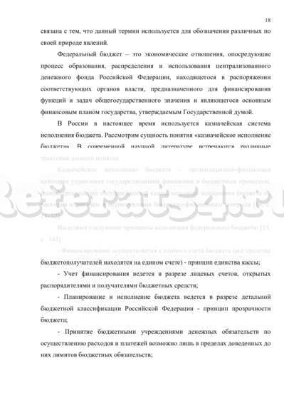 Курсовая работа по теме Проблемы реализации казначейской системы исполнения бюджетов в РФ