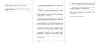 Реферат: Конституционное право России (полный курс)